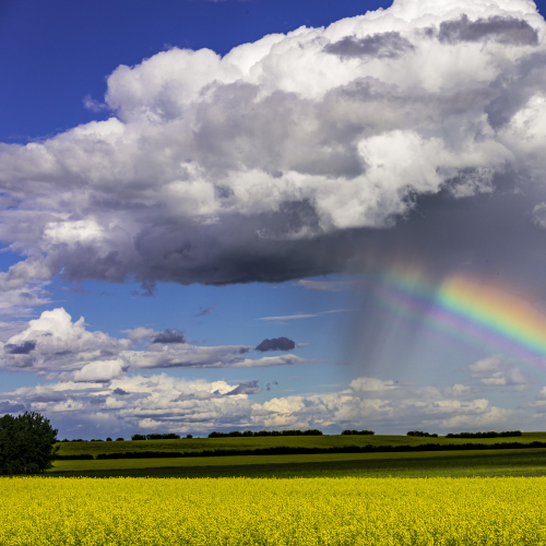 After the storm 
