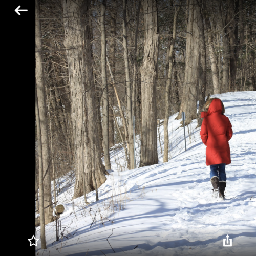 A winter walk