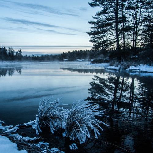 Winter blues