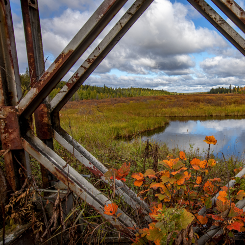 Framing Fall 