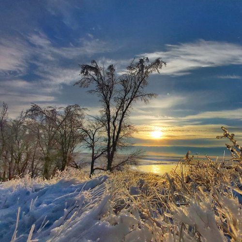 Prairie winter