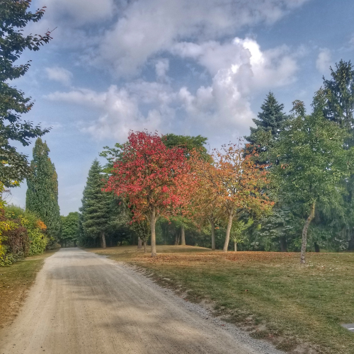 BUDS BLOOMS AND BARE SEASONS