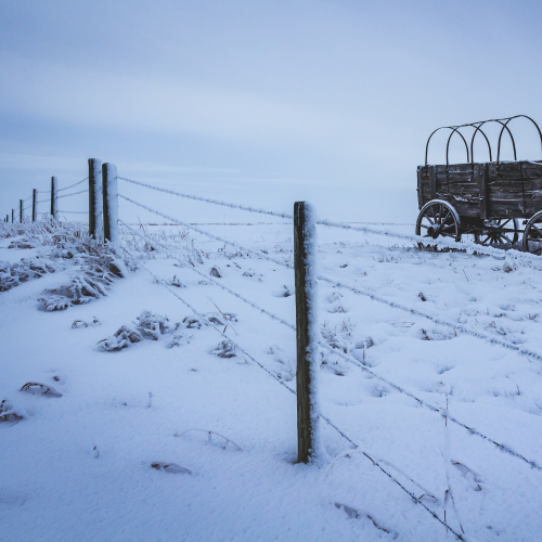 Western Wagon