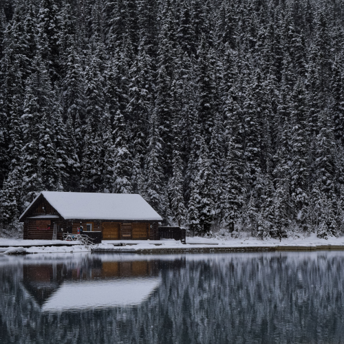 A Winter Wonderland
