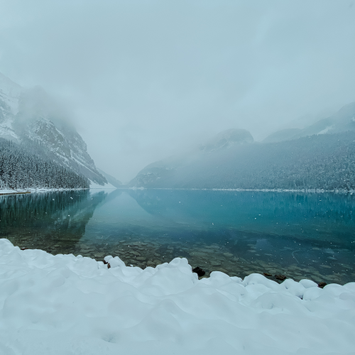 A Winter Wonderland
