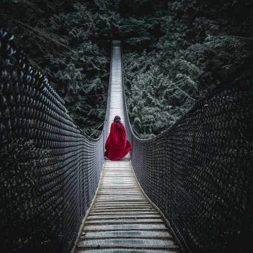 Nature Therapy