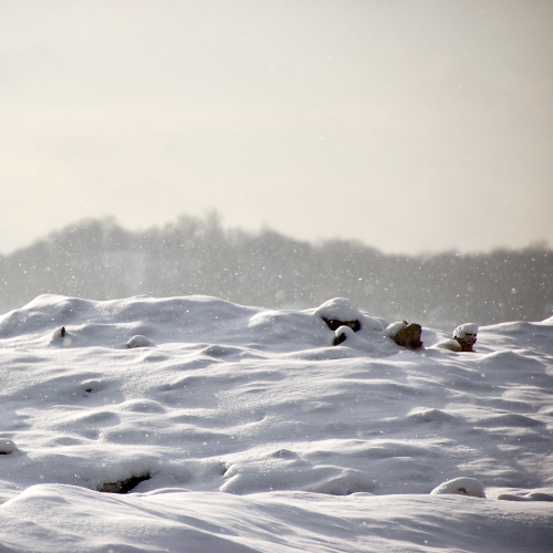 Frozen Lake Erie