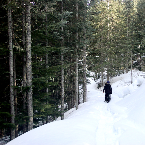 Snowshoeing in Whistler, BC