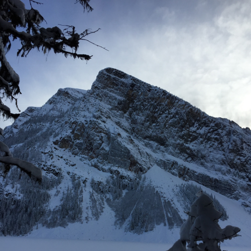 Snow Capped