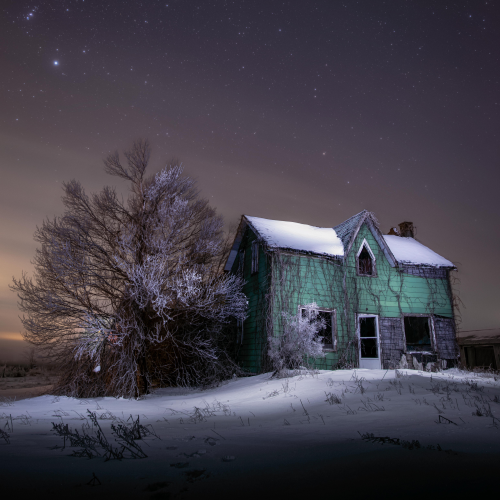 Alone In The Cold
