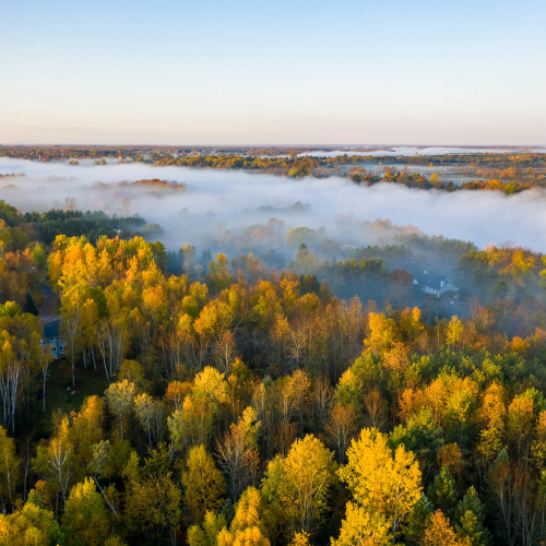 Early Autumn