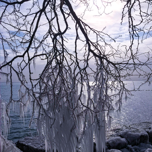 Winter by the lake 