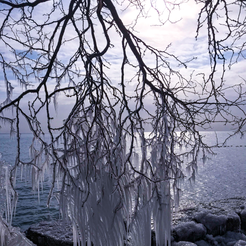 Winter by the lake 