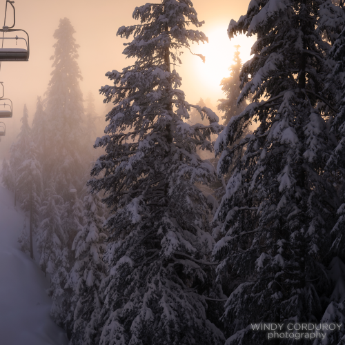 Winter Serenity