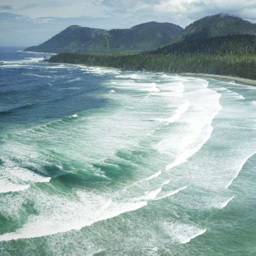 Where the river meets the sea 