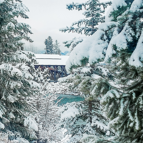 Winter Wonderland 
