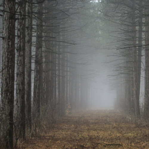 The Unknown