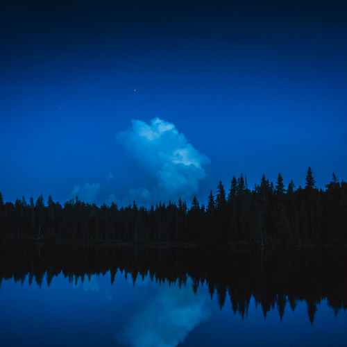 Algonquin Reflections 