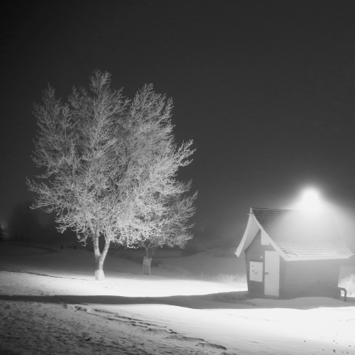 Solitude