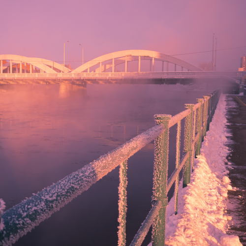 The Freezing of the Moira