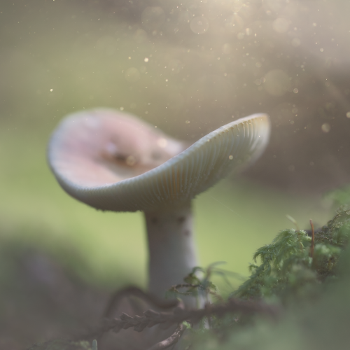 A Bit of Magic
