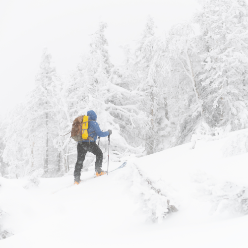 A skier in a blizzard