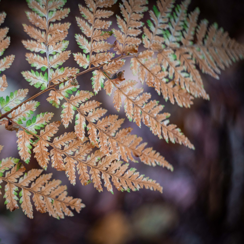 Fall is on the way