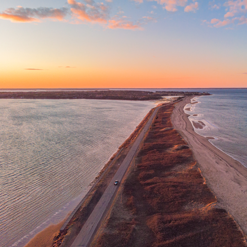 Panmure Island
