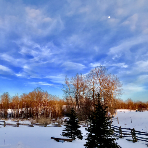 Perfect Winter Day 