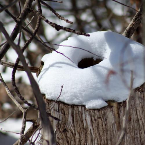 Snow dount