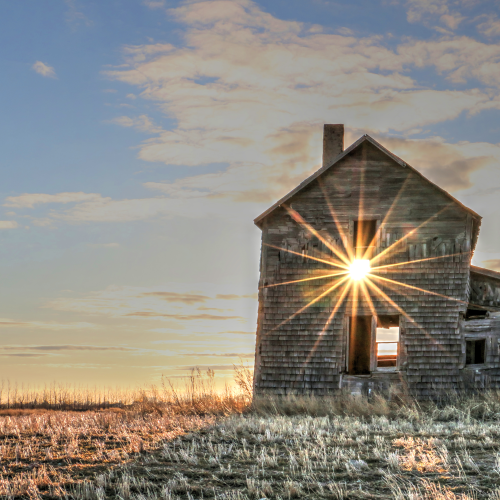 Sunshines through