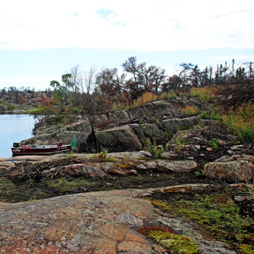 Exploring Fire Ravaged Pickerel River