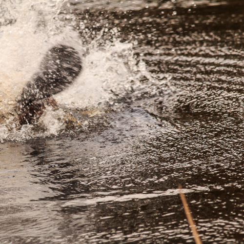 Warning Splash