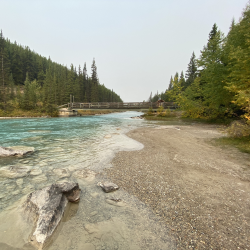 Bow River Beauty