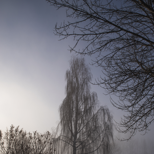 A Crisp Morning