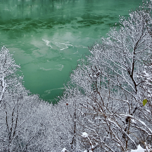 Looking down the Gorge at trees with snow to the Niagara River on Canadian side