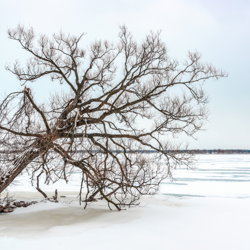 Rural Ontario