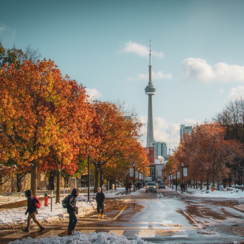An Autumn’s Winter