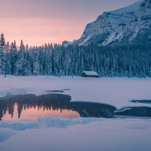 A Winter’s Morn 
