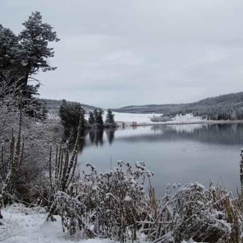 Winter Wonderland