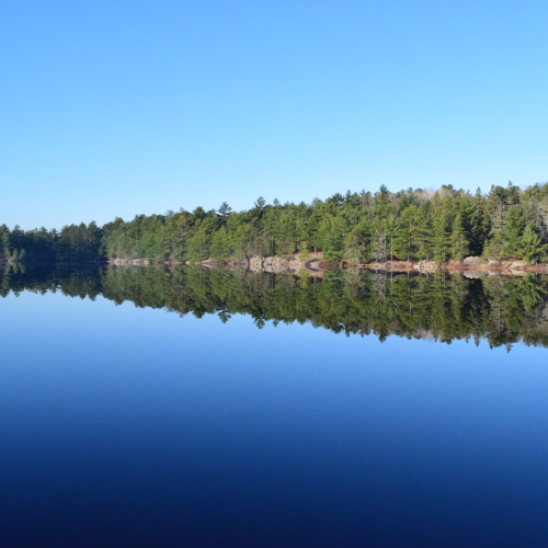 The French River Mirror