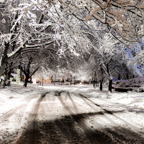 This street welcomes you... and winter. 