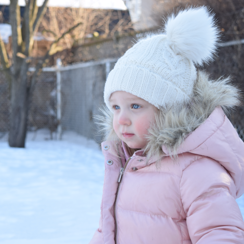 Taking in Winter