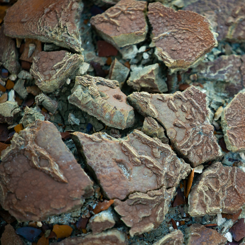 Remnants
