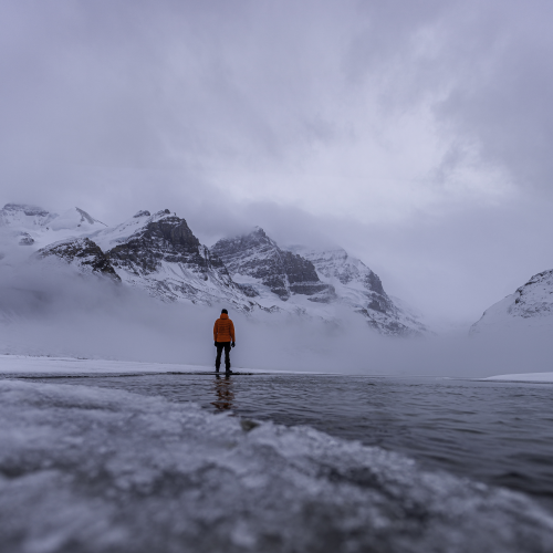Columbia Icefields