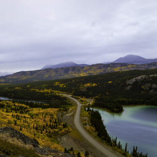 Fall in the Yukon