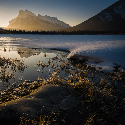 Golden Rundle