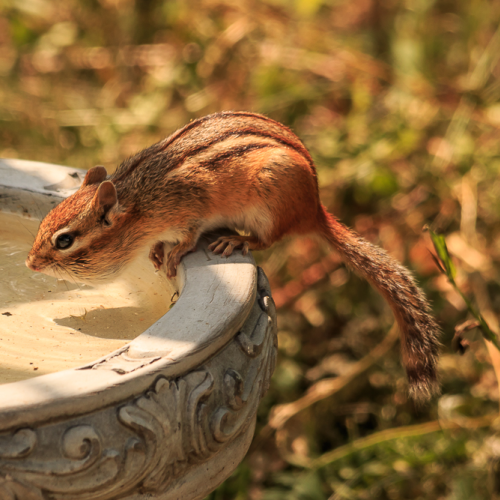 Cooling  Down