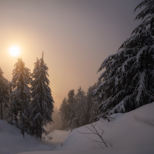 Warm Winter Glow