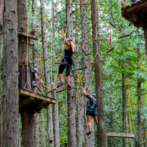 Tree Top Adventure